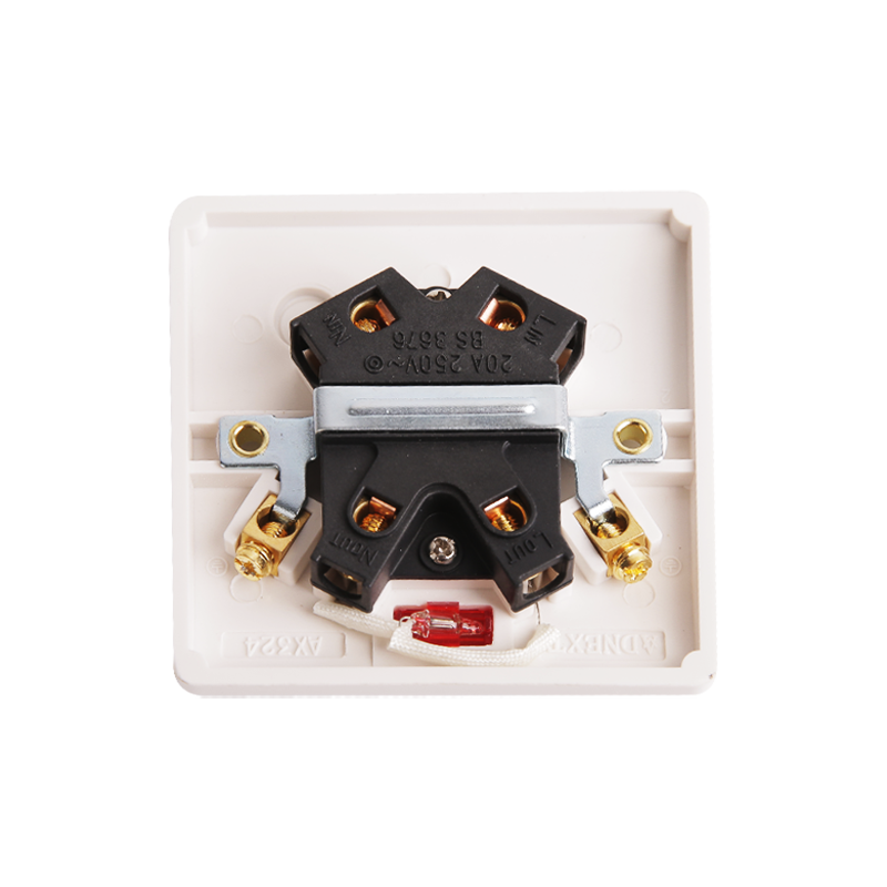 20A 1 Gang Double Pole Bakelite Switch le Neon HK6320VN